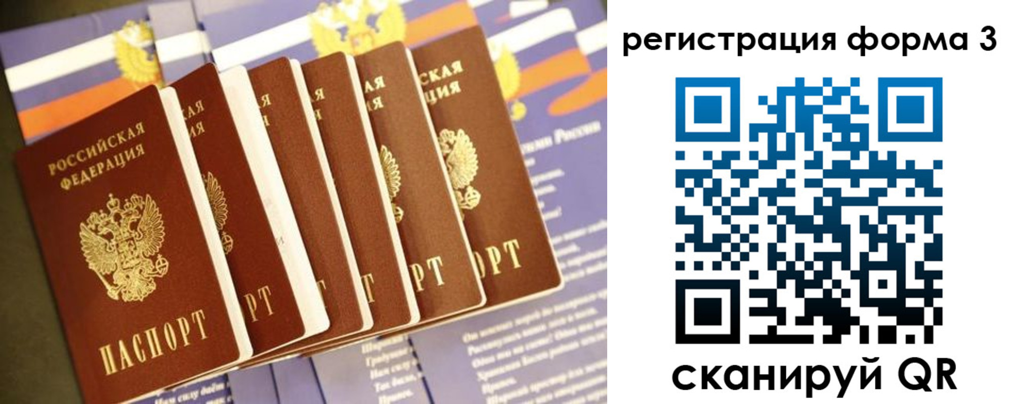 прописка штамп в Нелидово